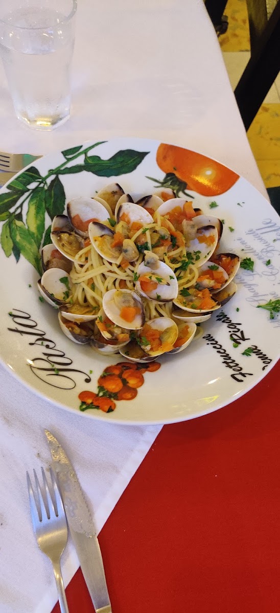 Da Stefano Trattoria-8